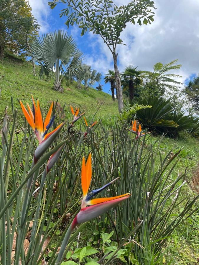 Rancho Do Paioleiro - Suites เซาเบนโตโดซาปูไค ภายนอก รูปภาพ