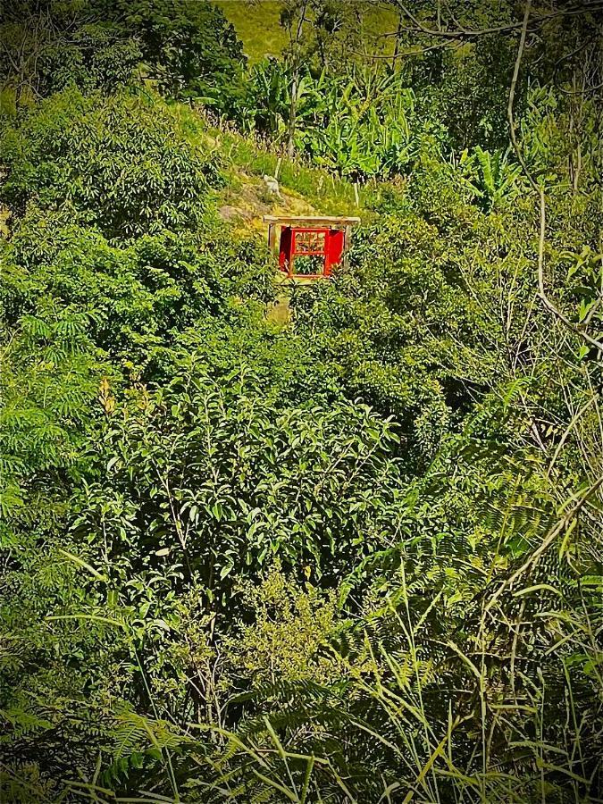 Rancho Do Paioleiro - Suites เซาเบนโตโดซาปูไค ภายนอก รูปภาพ